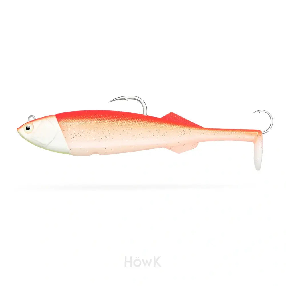 Howk rocky dentex